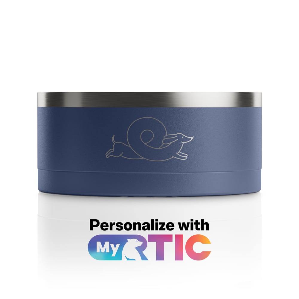 3-In-1 Dog Bowl Navy & Graphite